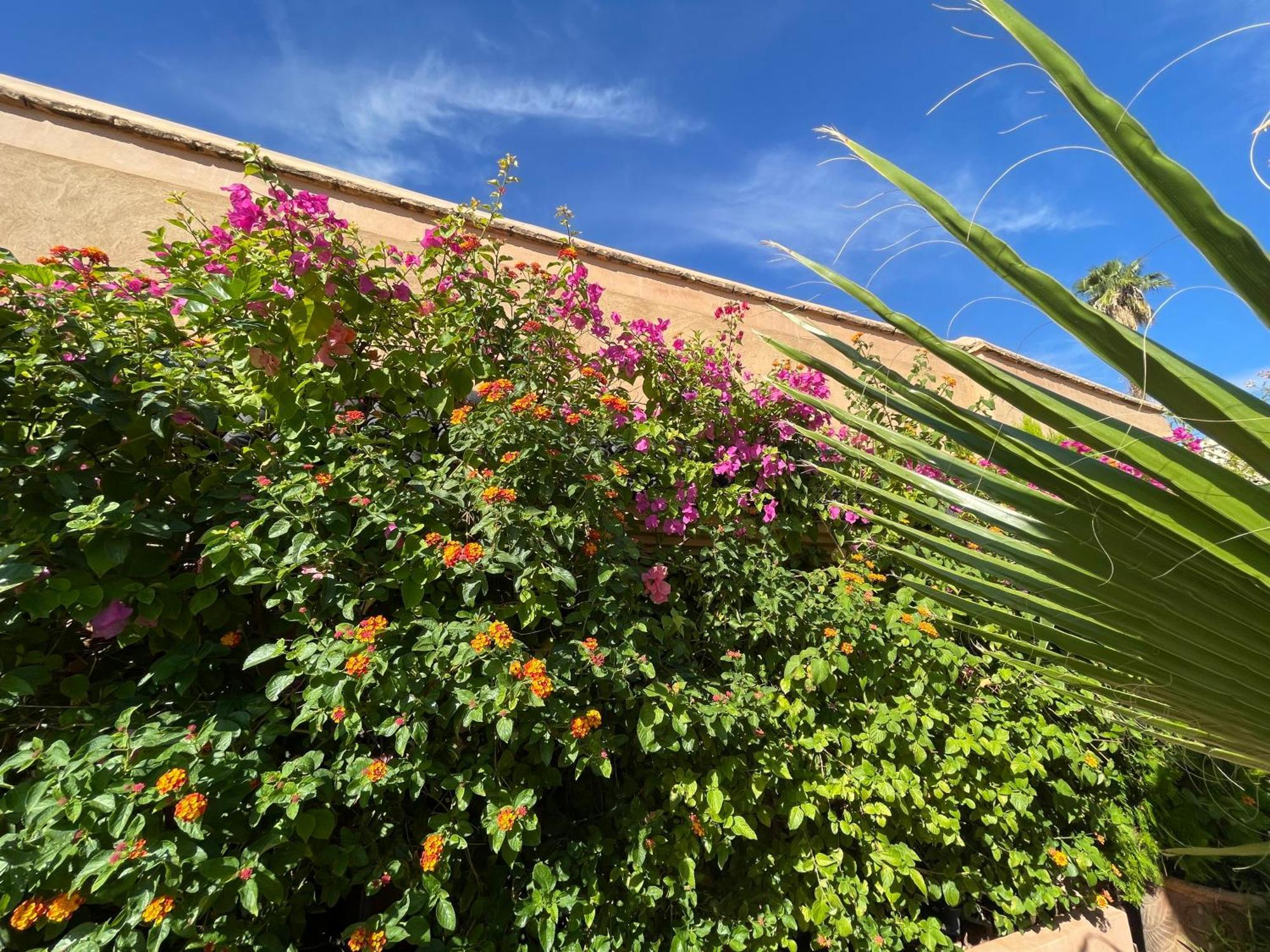Riad Zouhour Марракеш Экстерьер фото