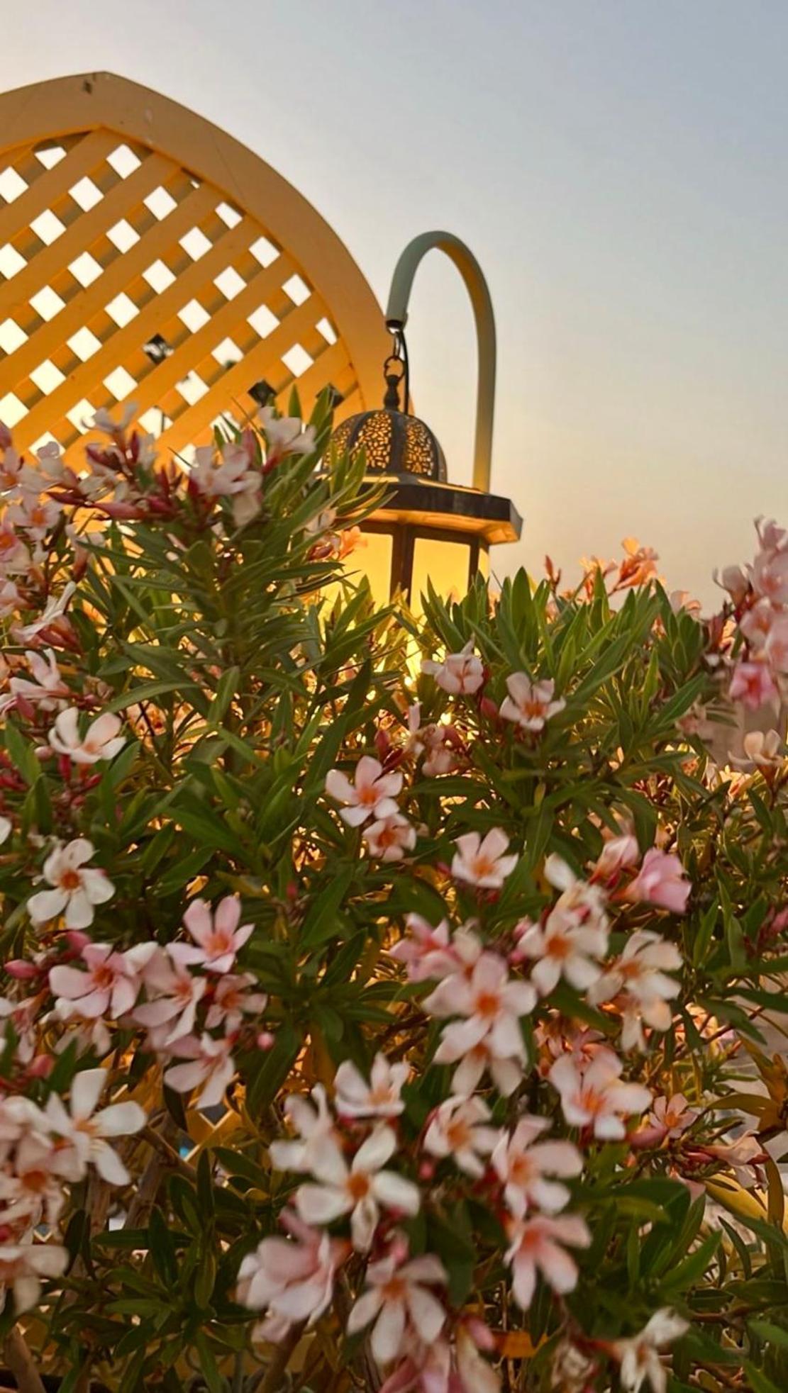 Riad Zouhour Марракеш Экстерьер фото